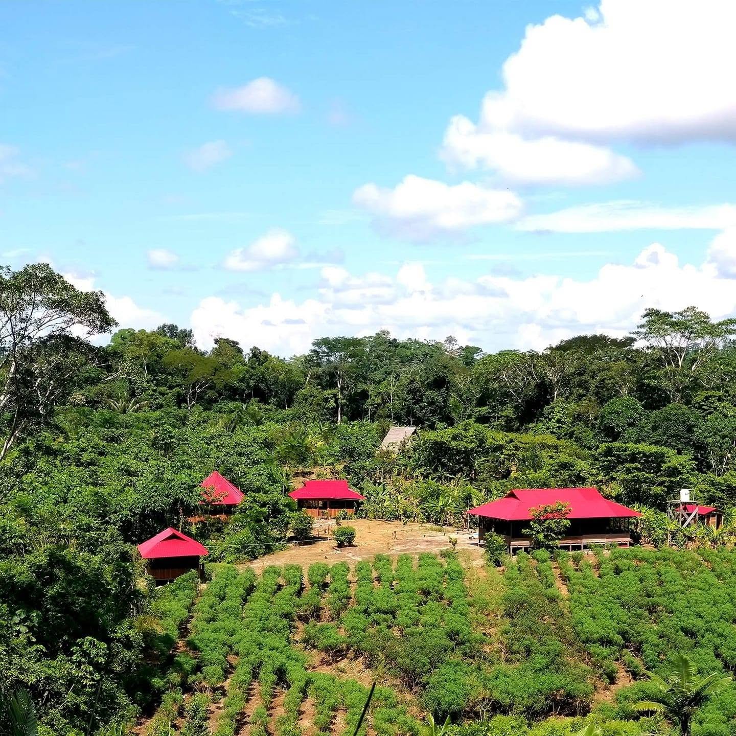 San Alejandro, Amazzonia peruviana